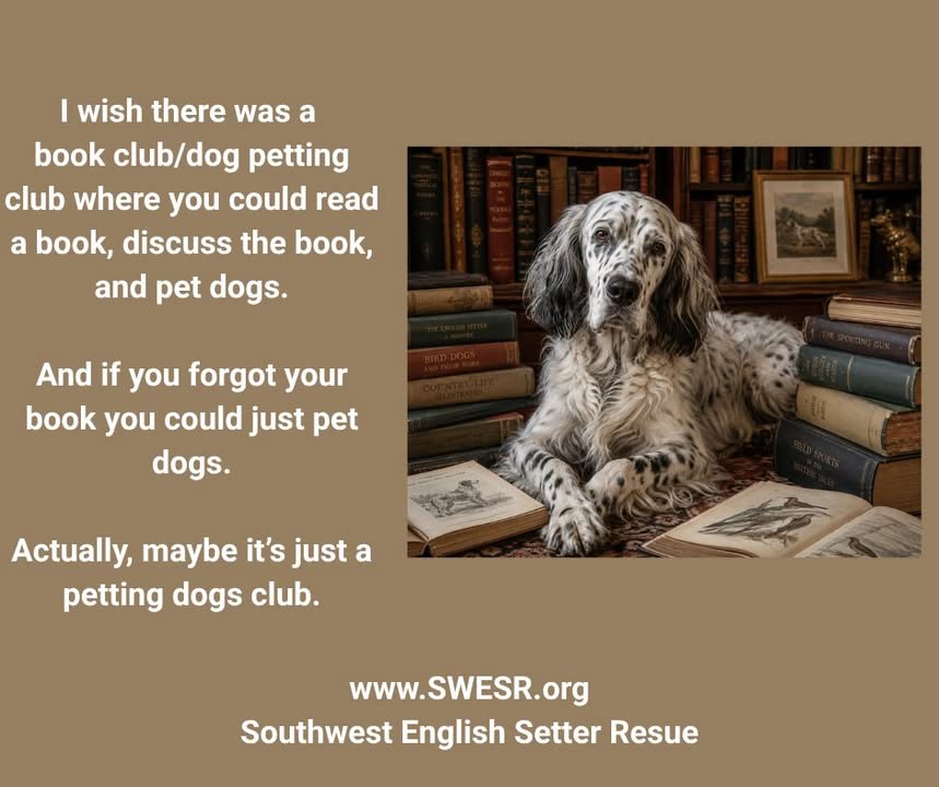Southwest English Setter Rescue